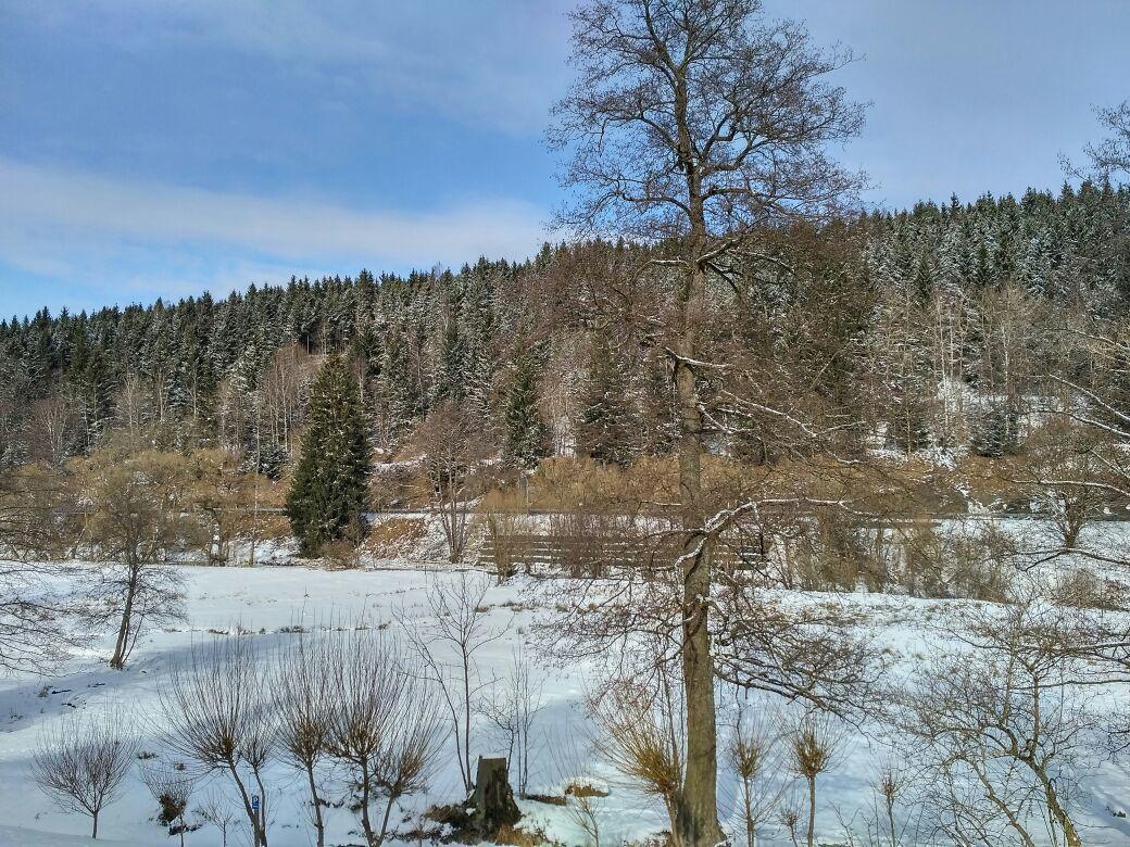 Ferienwohnung Rathke Sorge Esterno foto